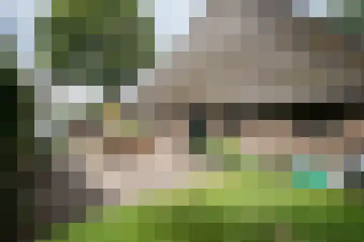 Dorpsstraat 6 Orvelte thumbnail 43
