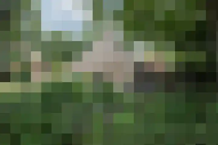 Dorpsstraat 6 Orvelte thumbnail 45