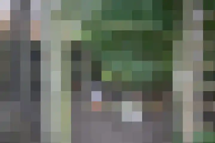 Dorpsstraat 6 Orvelte thumbnail 46