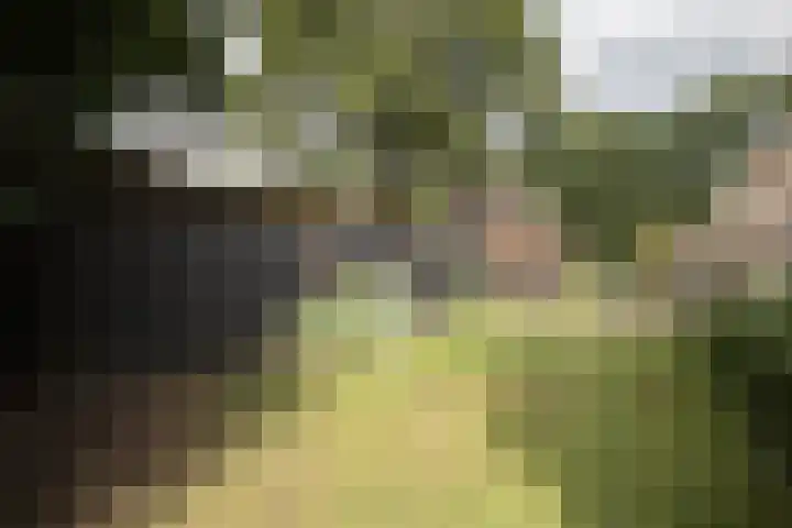 Dorpsstraat 6 Orvelte thumbnail 47
