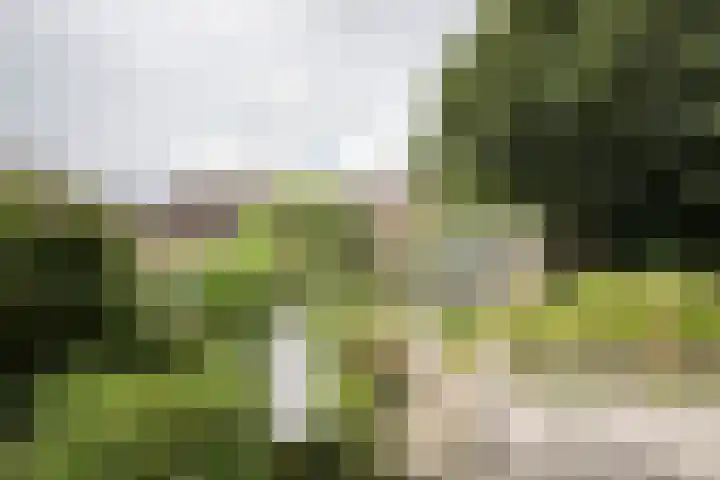 Dorpsstraat 6 Orvelte thumbnail 48
