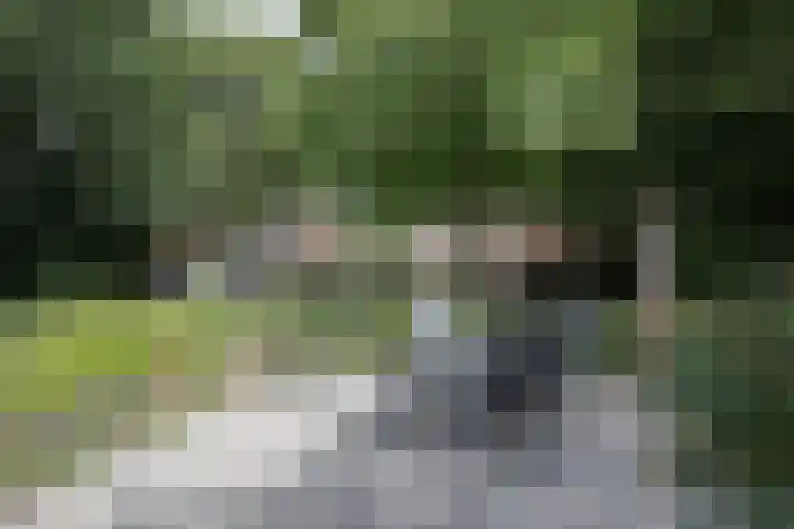 Dorpsstraat 6 Orvelte thumbnail 49