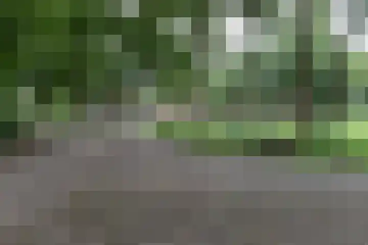 Dorpsstraat 6 Orvelte thumbnail 5