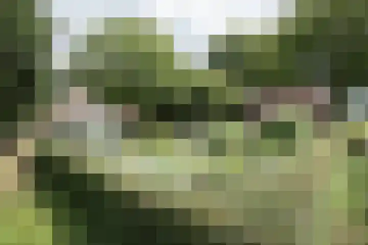 Dorpsstraat 6 Orvelte thumbnail 56