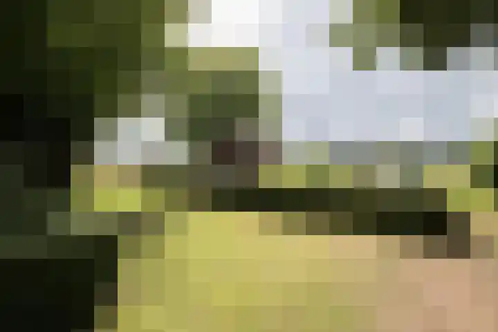 Dorpsstraat 6 Orvelte thumbnail 58
