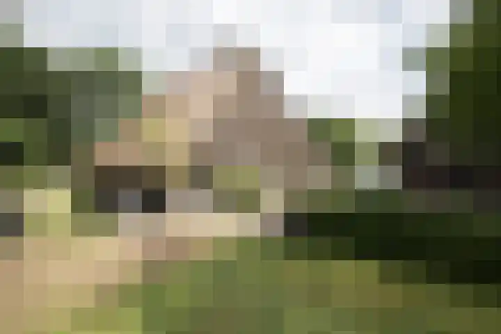 Dorpsstraat 6 Orvelte thumbnail 59