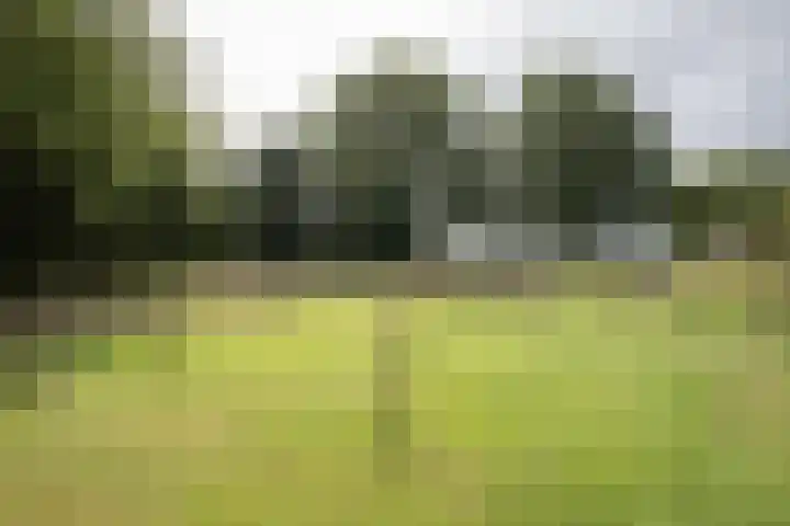 Dorpsstraat 6 Orvelte thumbnail 6