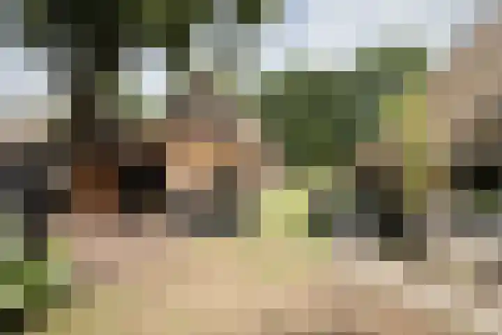 Dorpsstraat 6 Orvelte thumbnail 60