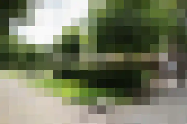Dorpsstraat 6 Orvelte thumbnail 62