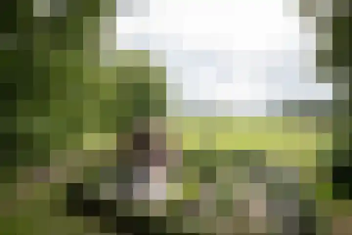 Dorpsstraat 6 Orvelte thumbnail 64