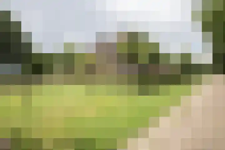 Dorpsstraat 6 Orvelte thumbnail 7