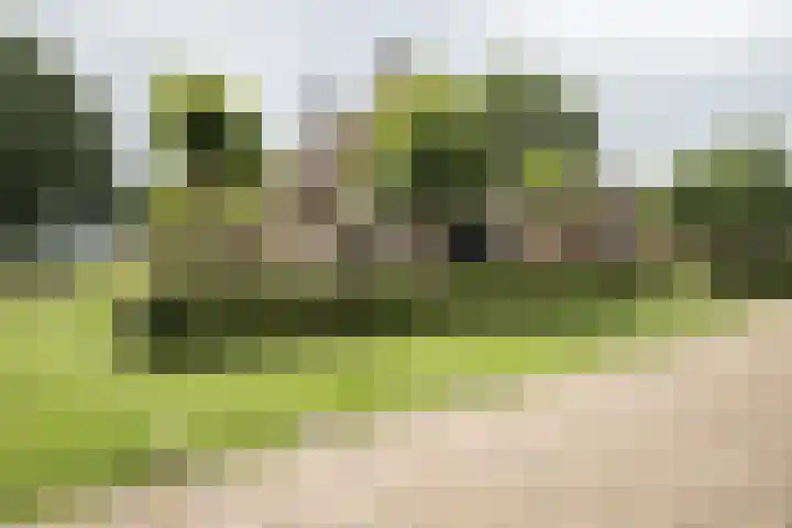 Dorpsstraat 6 Orvelte thumbnail 8