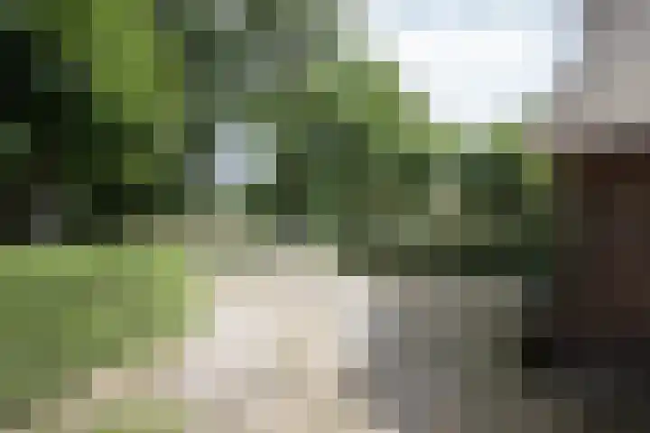 Dorpsstraat 6 Orvelte thumbnail 9