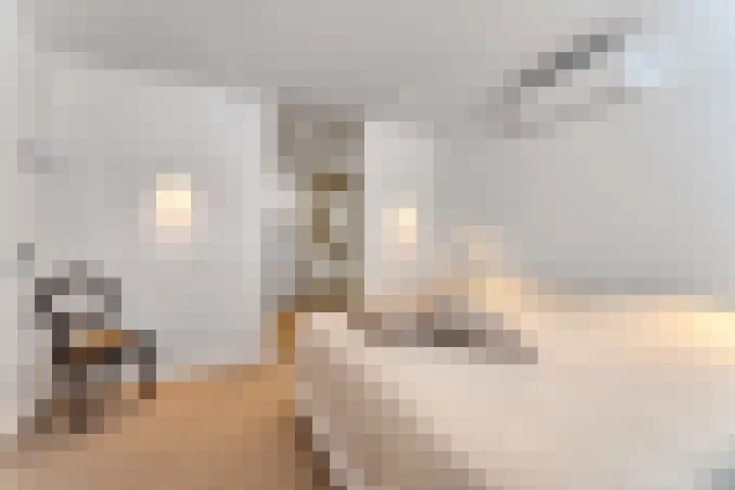 Dorpsstraat 6 Retranchement thumbnail 13