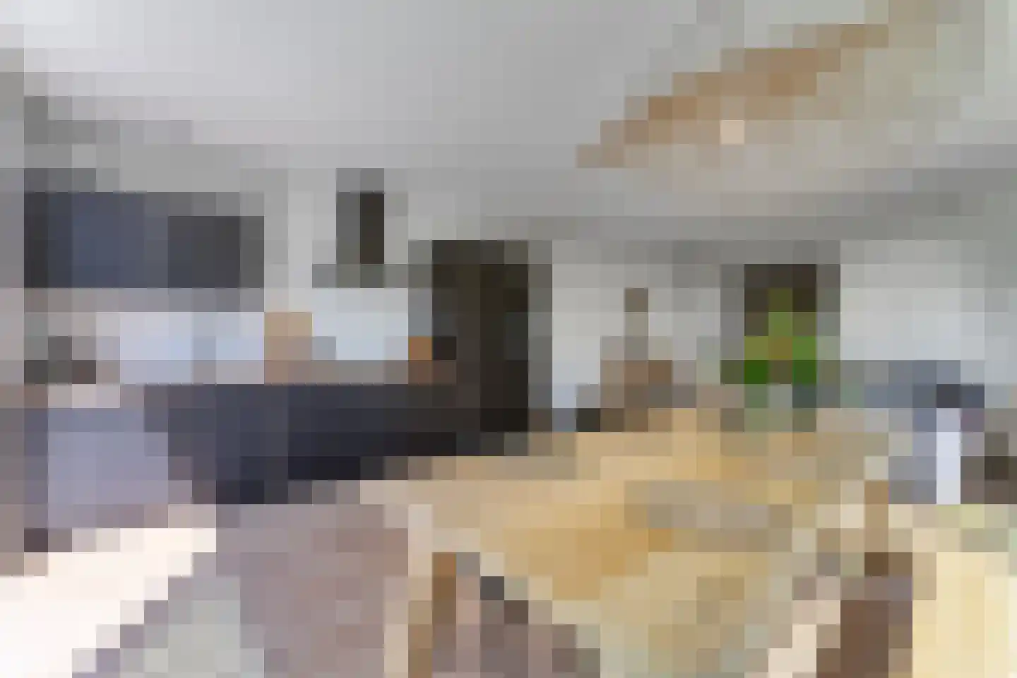 Dorpsstraat 6 Retranchement thumbnail 23