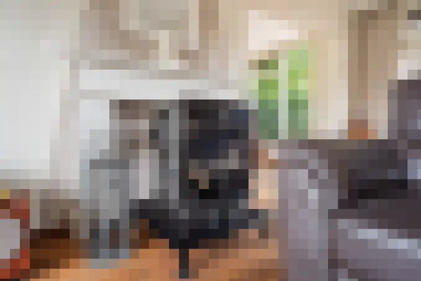 Dorpsstraat 6 Rhenoy thumbnail 19