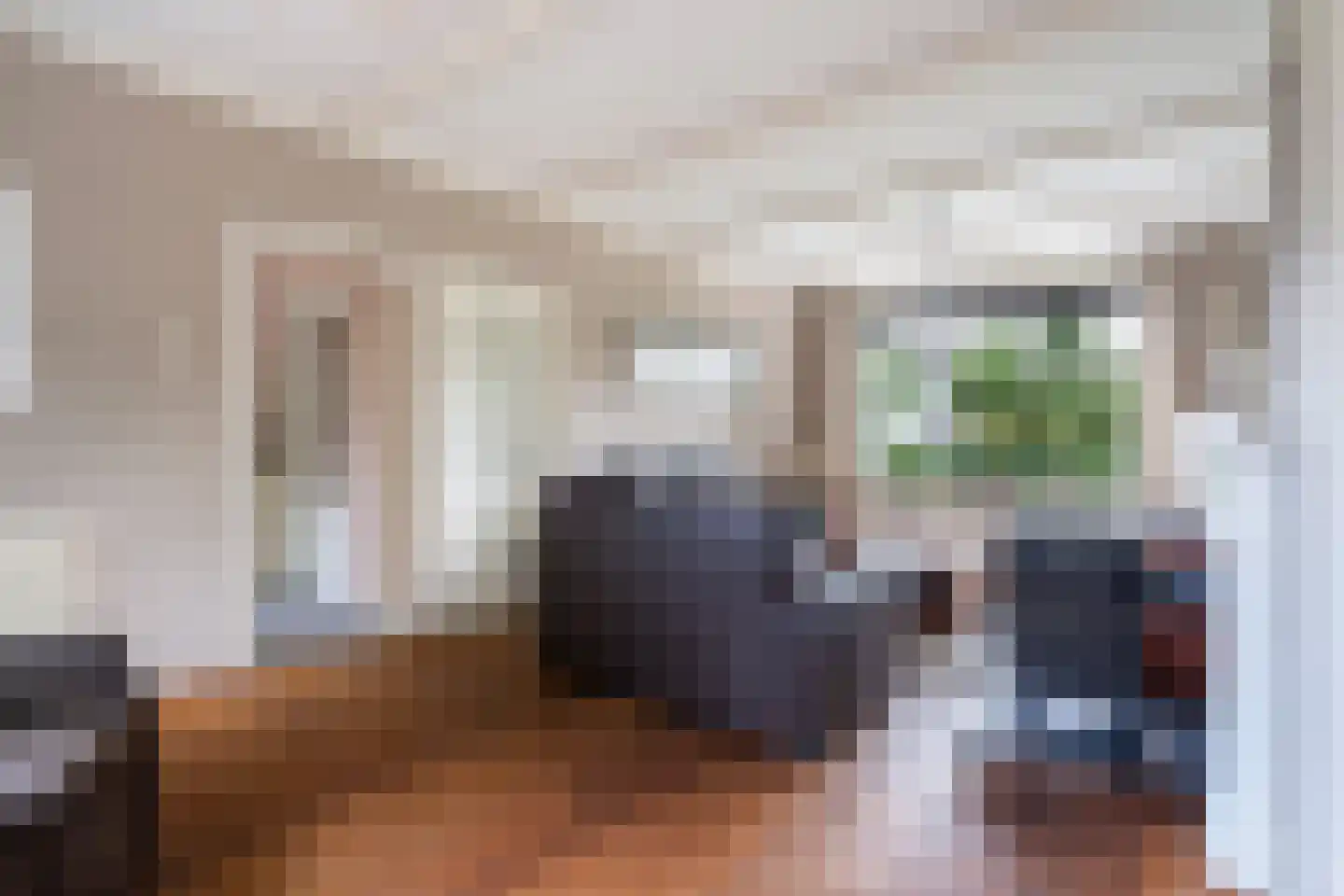 Dorpsstraat 6 Rhenoy thumbnail 20