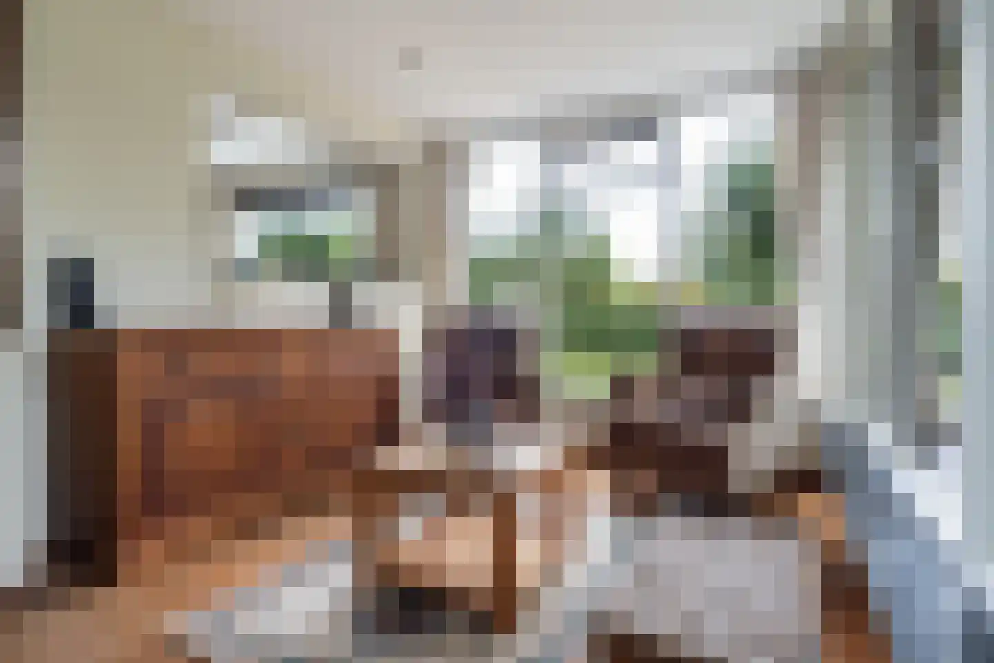 Dorpsstraat 6 Rhenoy thumbnail 26