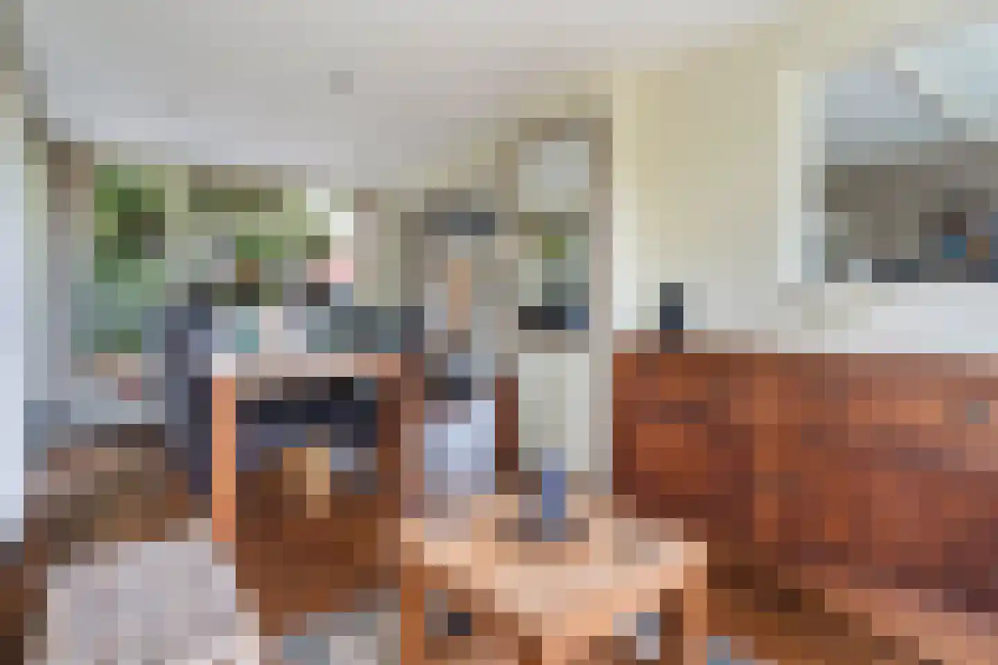 Dorpsstraat 6 Rhenoy thumbnail 27