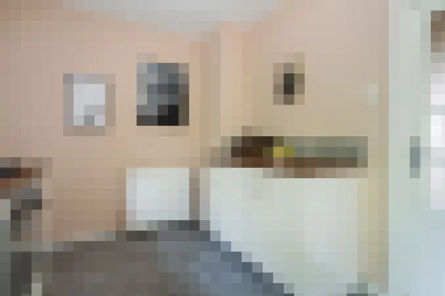 Dorpsstraat 6 Rhenoy thumbnail 29