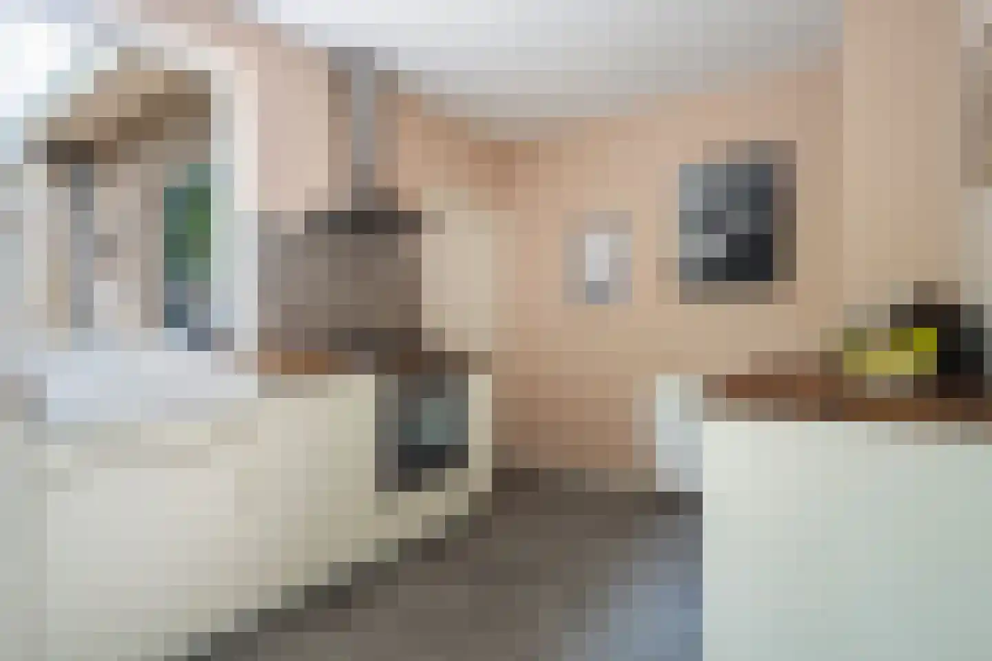Dorpsstraat 6 Rhenoy thumbnail 30