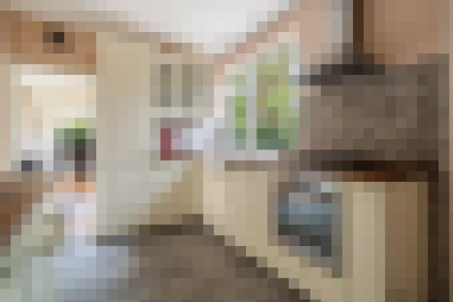 Dorpsstraat 6 Rhenoy thumbnail 32
