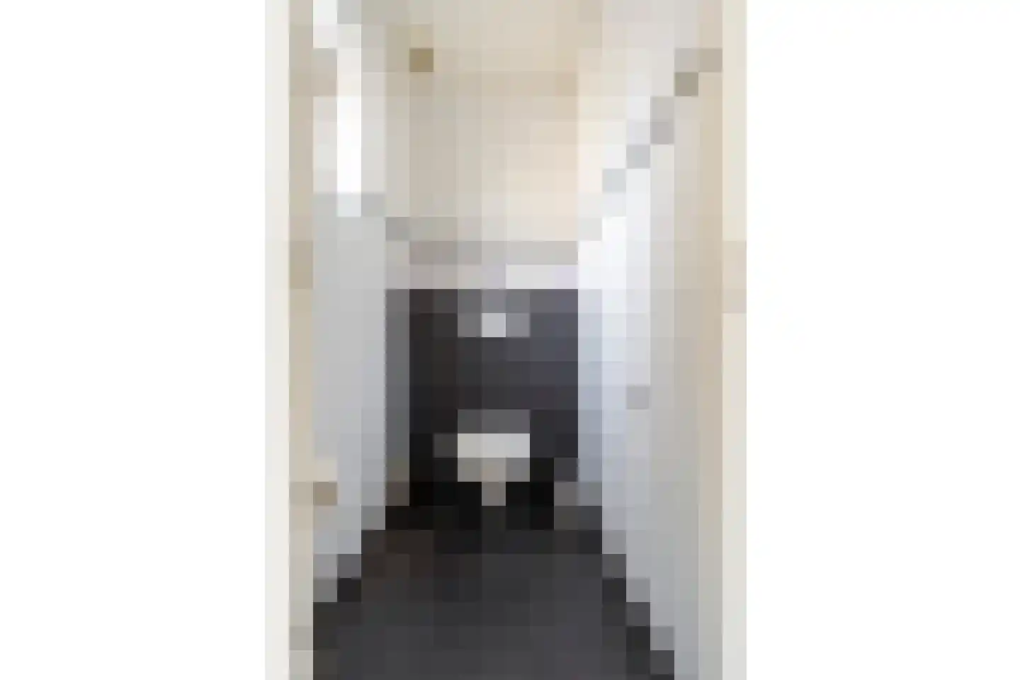 Dorpsstraat 6 Rhenoy thumbnail 35