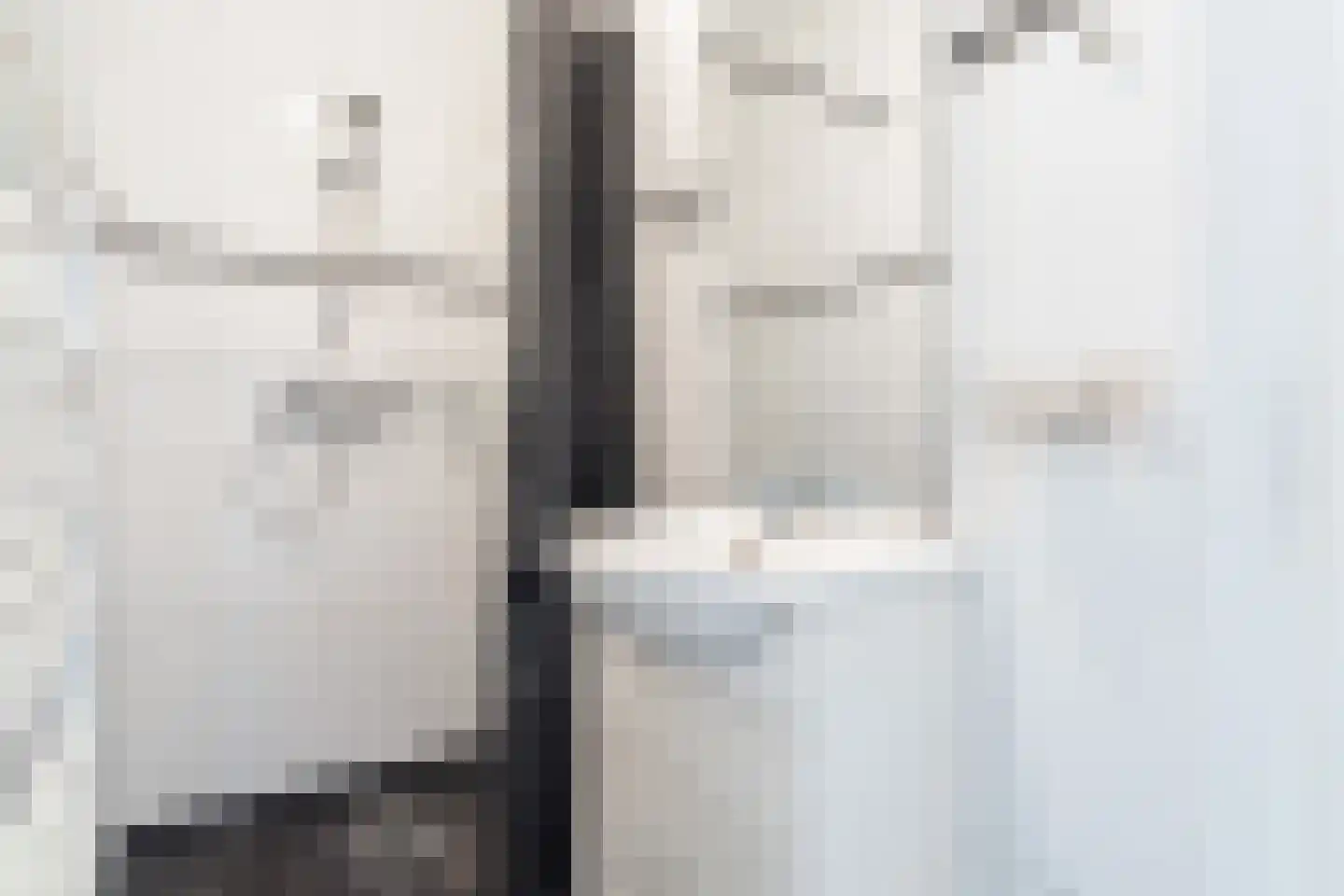 Dorpsstraat 6 Rhenoy thumbnail 42