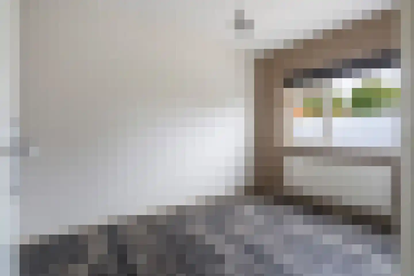 Dorpsstraat 6 Rhenoy thumbnail 43