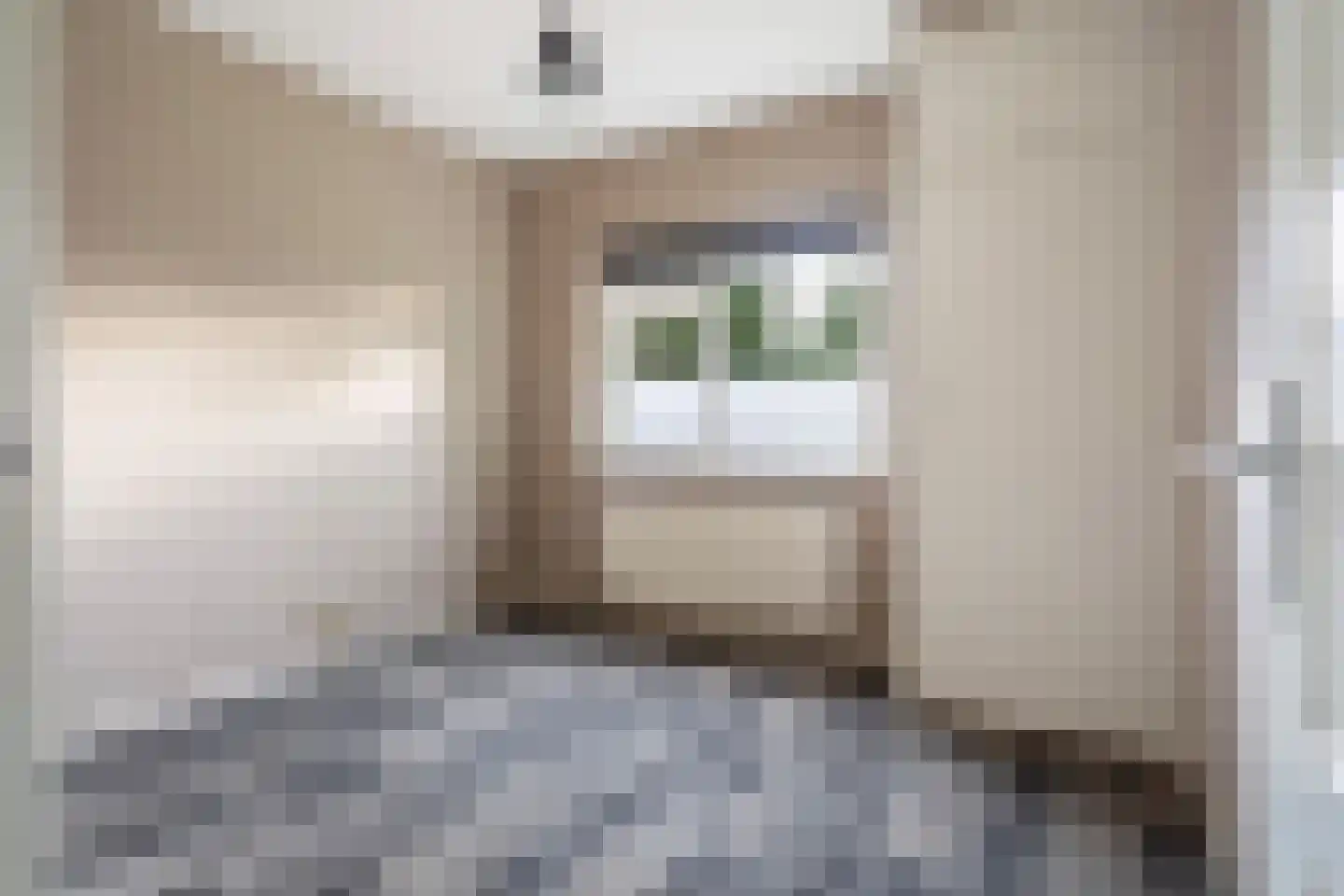 Dorpsstraat 6 Rhenoy thumbnail 47