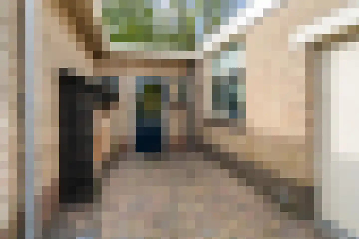Dorpsstraat 6 Rhenoy thumbnail 49