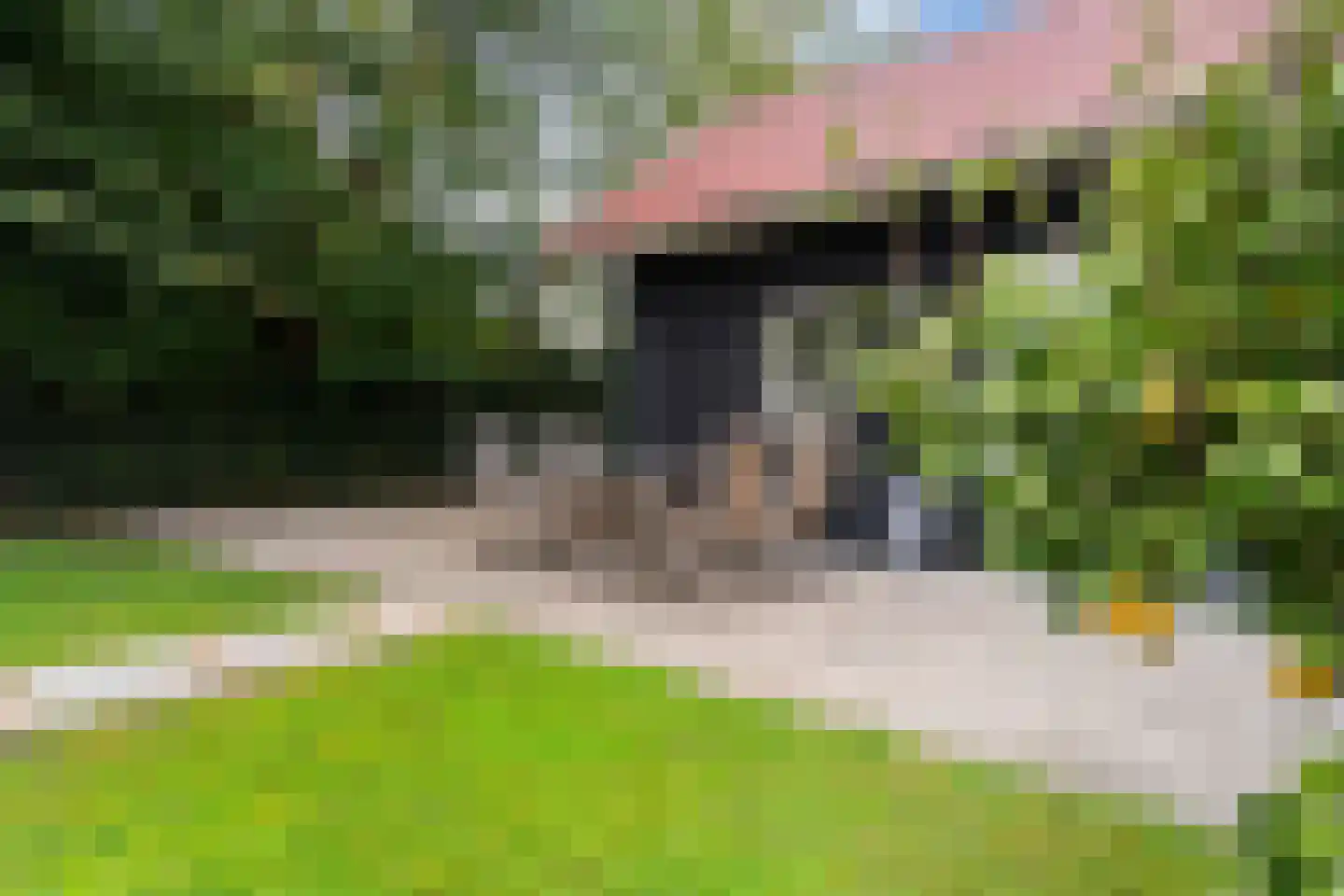 Dorpsstraat 6 Rhenoy thumbnail 62