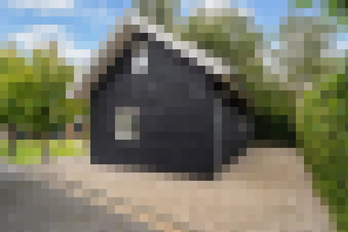 Dorpsstraat 6 Rhenoy thumbnail 67