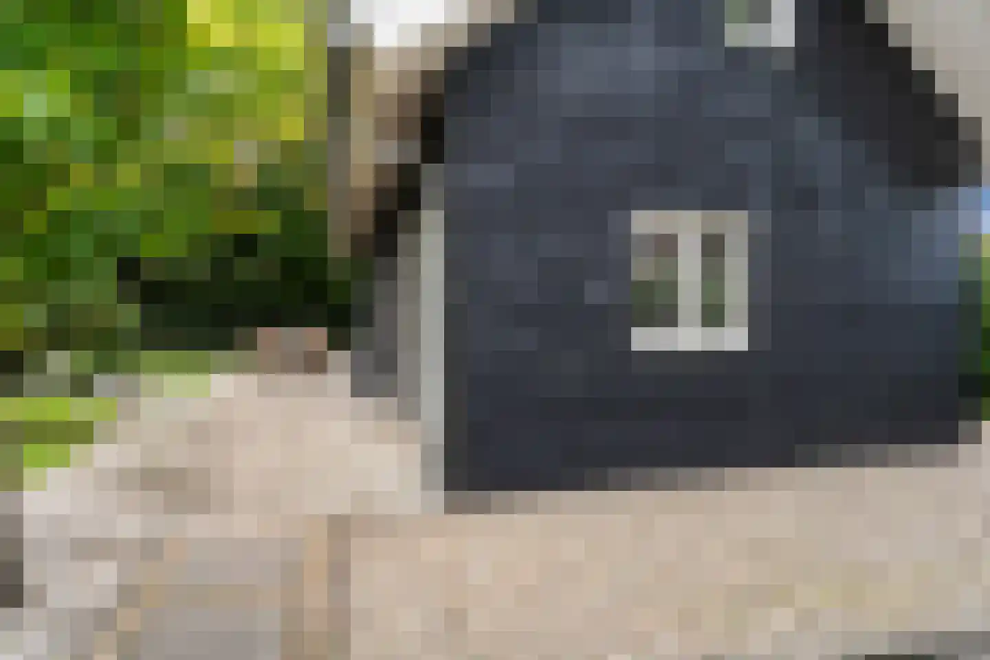 Dorpsstraat 6 Rhenoy thumbnail 69