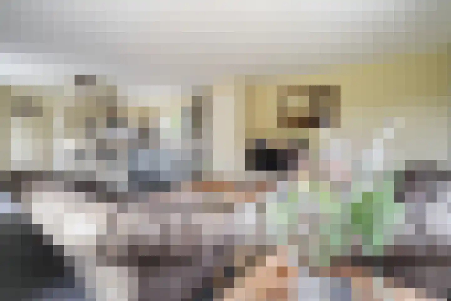 Dorpsstraat 6 Rhenoy thumbnail 71