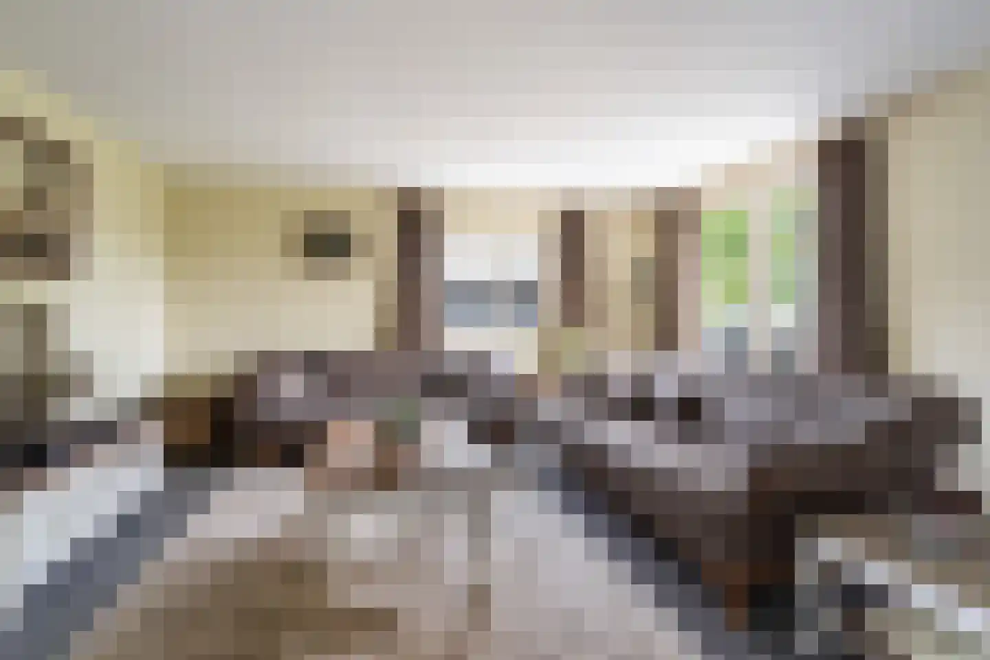 Dorpsstraat 6 Rhenoy thumbnail 72