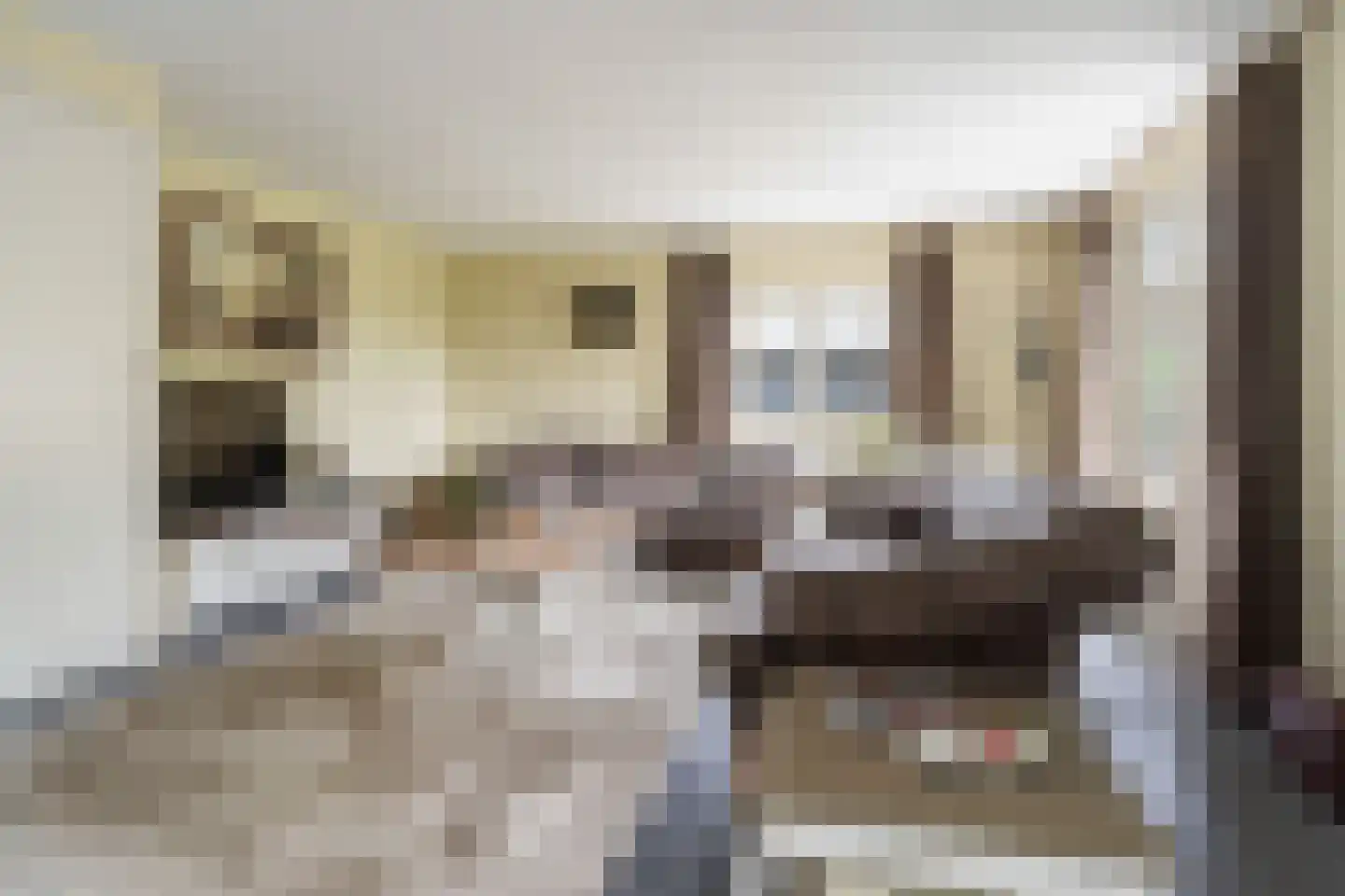 Dorpsstraat 6 Rhenoy thumbnail 73