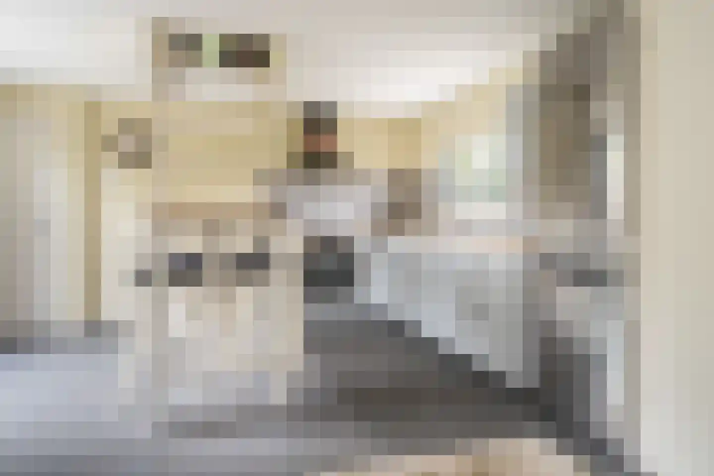 Dorpsstraat 6 Rhenoy thumbnail 76