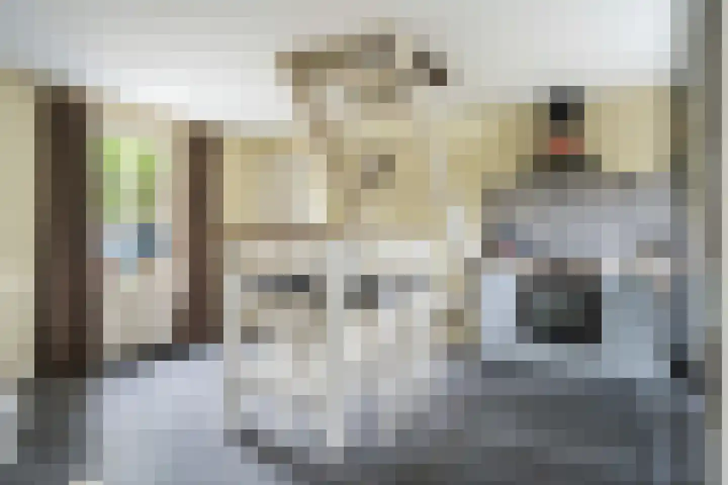 Dorpsstraat 6 Rhenoy thumbnail 77