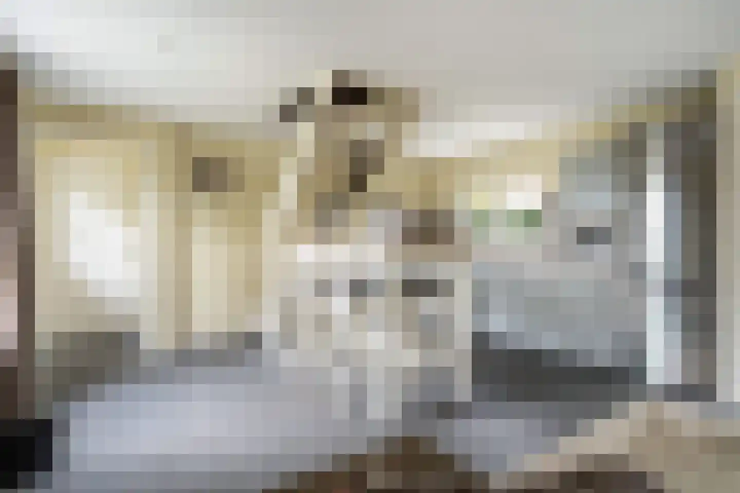 Dorpsstraat 6 Rhenoy thumbnail 78