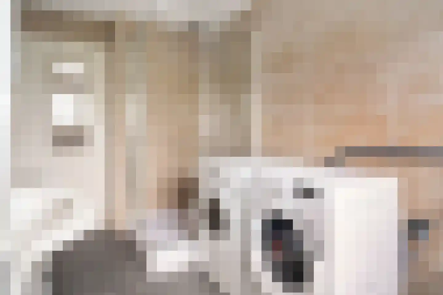 Dorpsstraat 6 Rhenoy thumbnail 81