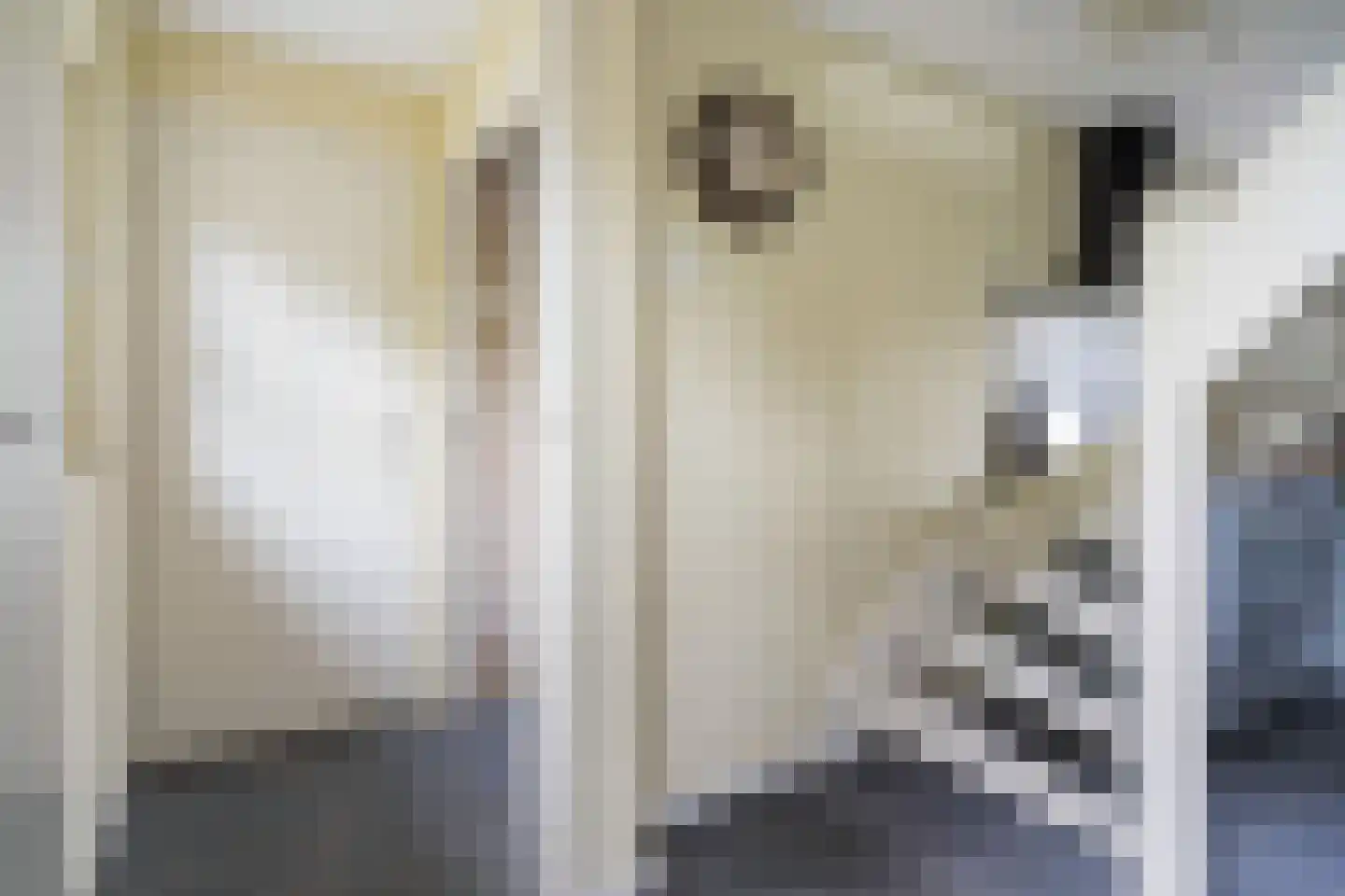 Dorpsstraat 6 Rhenoy thumbnail 82