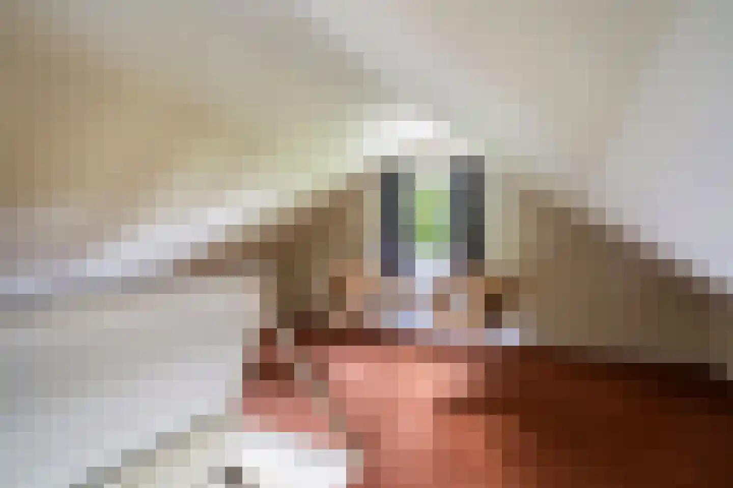 Dorpsstraat 6 Rhenoy thumbnail 83