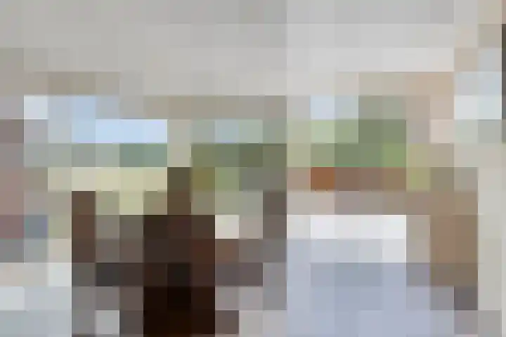 Dorpsstraat 6 Roermond thumbnail 16