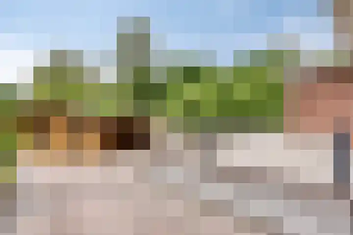 Dorpsstraat 6 Roermond thumbnail 34