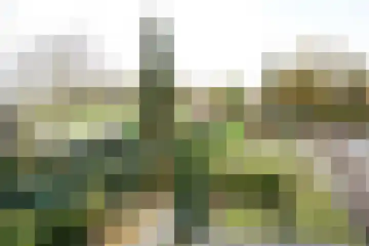 Dorpsstraat 6 Sint Kruis thumbnail 24