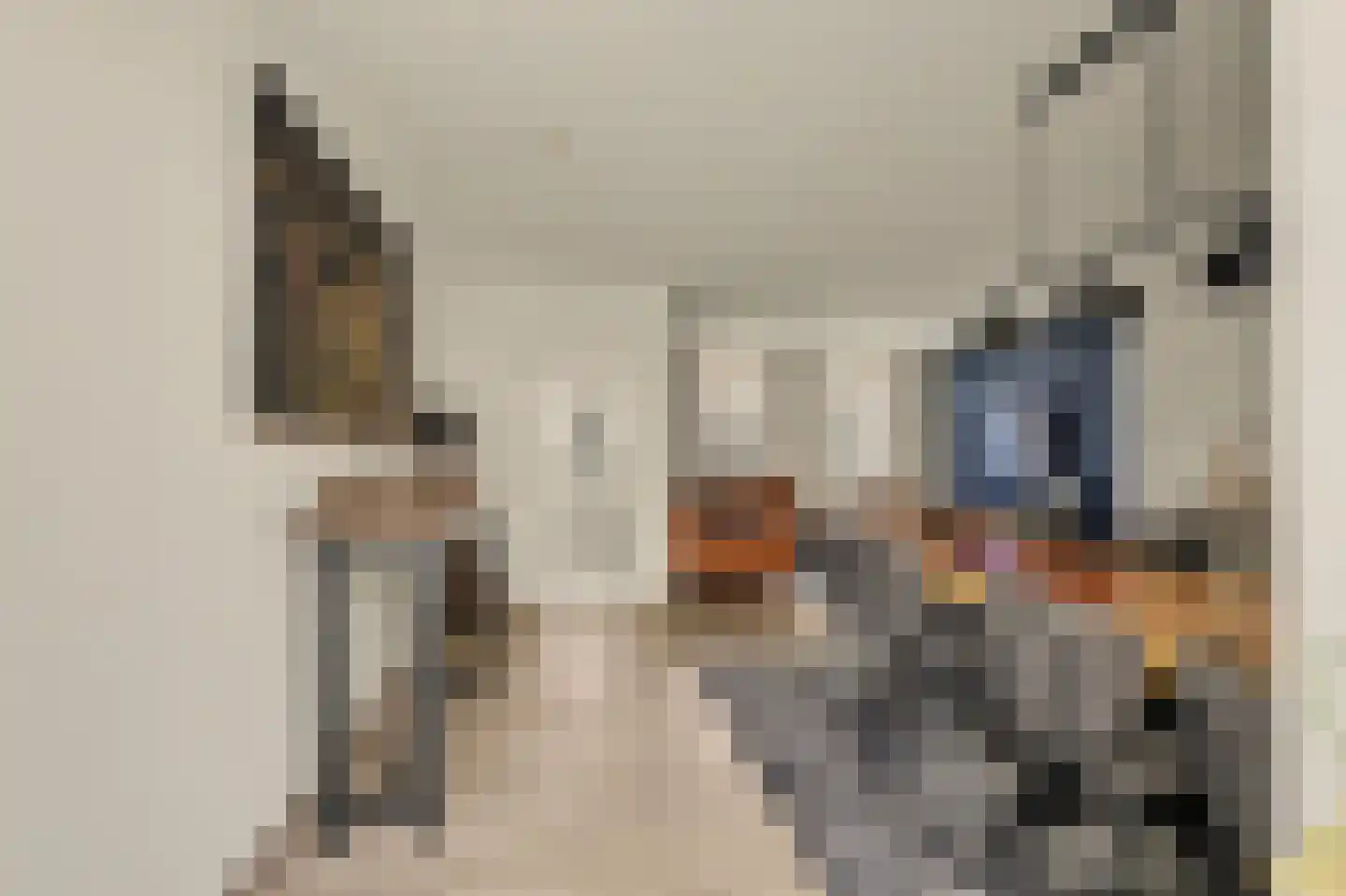 Dorpsstraat 6 Sirjansland thumbnail 11