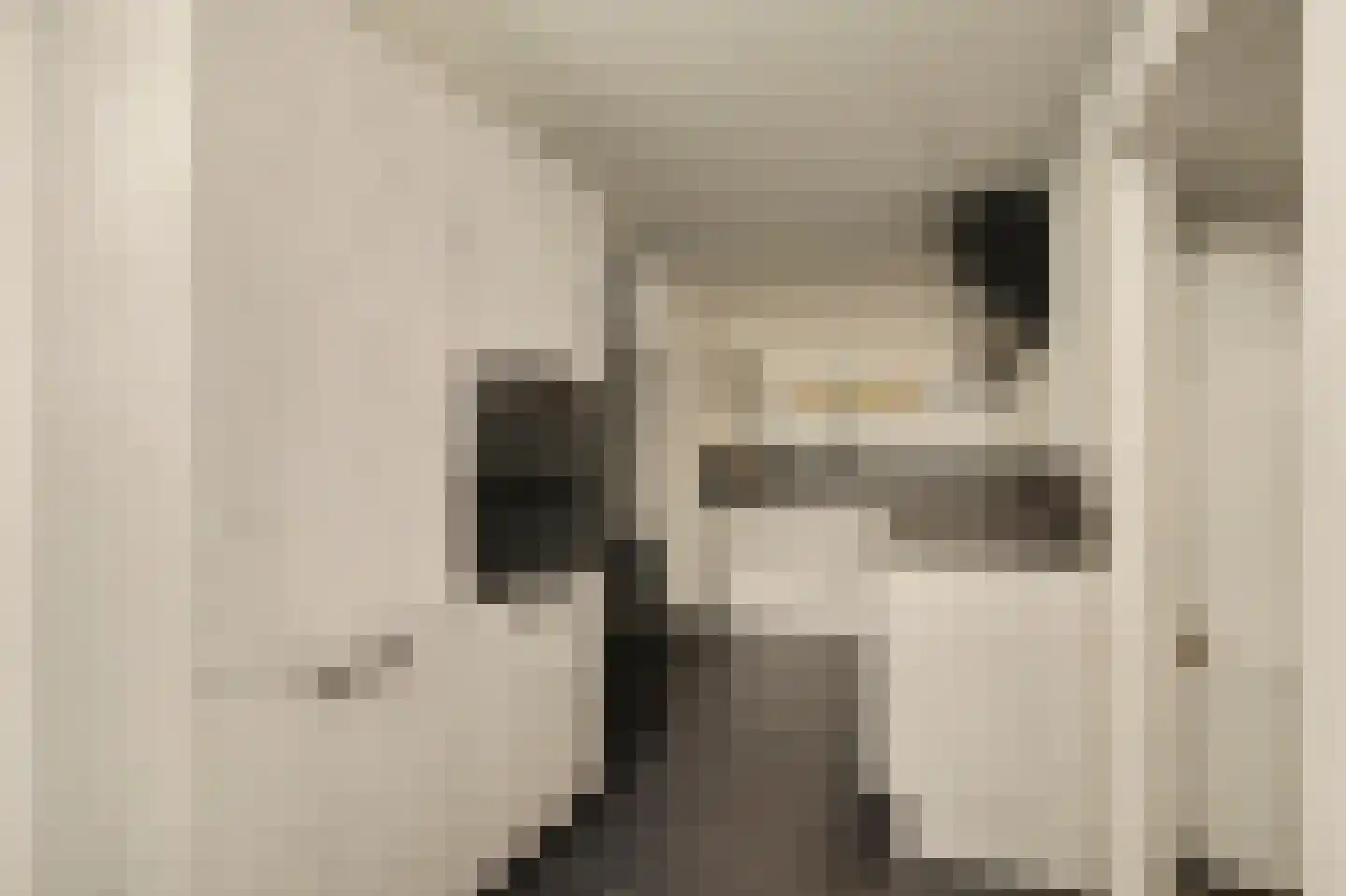 Dorpsstraat 6 Sirjansland thumbnail 12