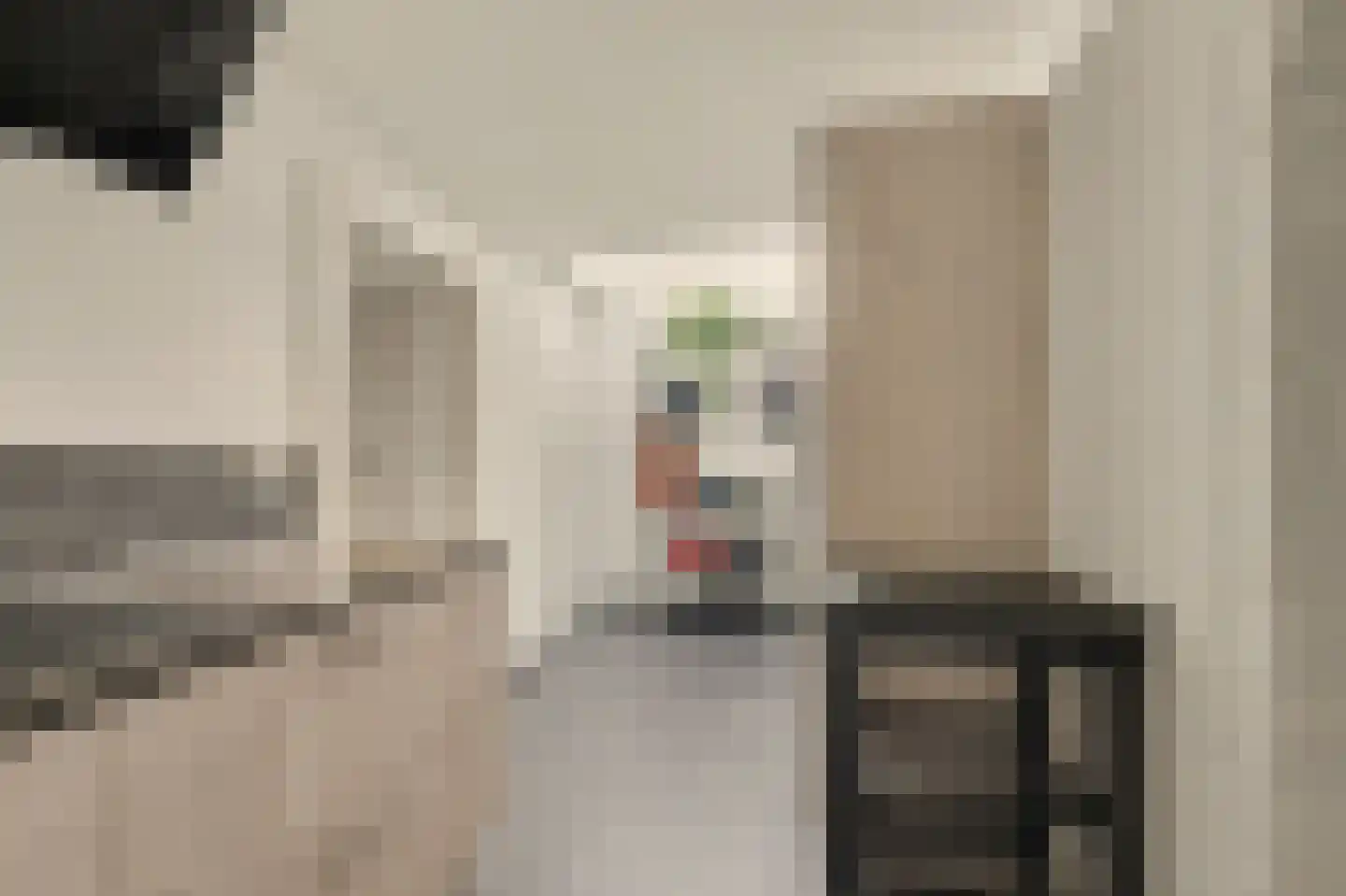 Dorpsstraat 6 Sirjansland thumbnail 17