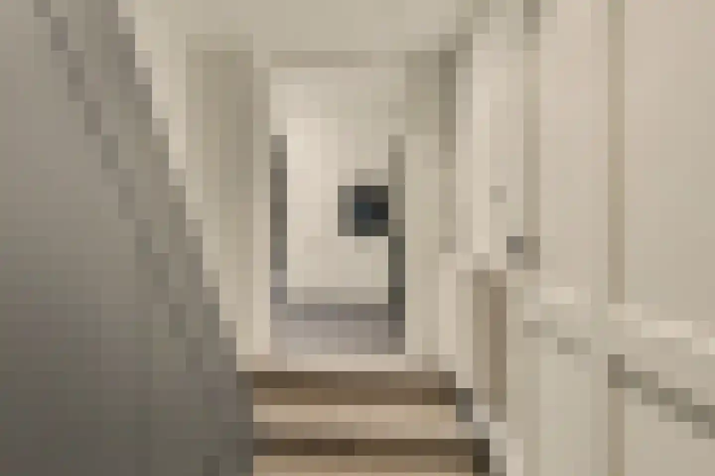 Dorpsstraat 6 Sirjansland thumbnail 18